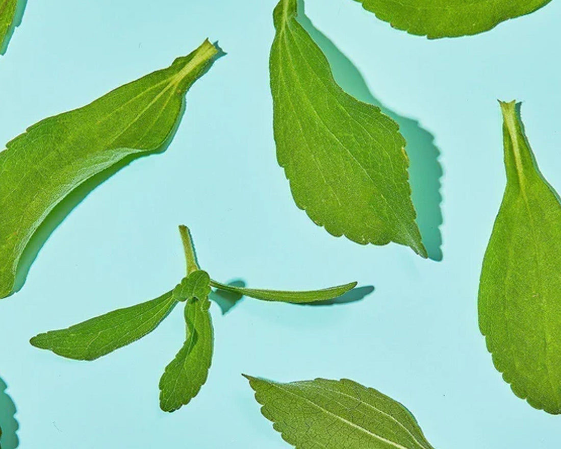 Stevia Nedir? Faydaları, Kullanımı ve Hakkında Bilmeniz Gereken Her Şey